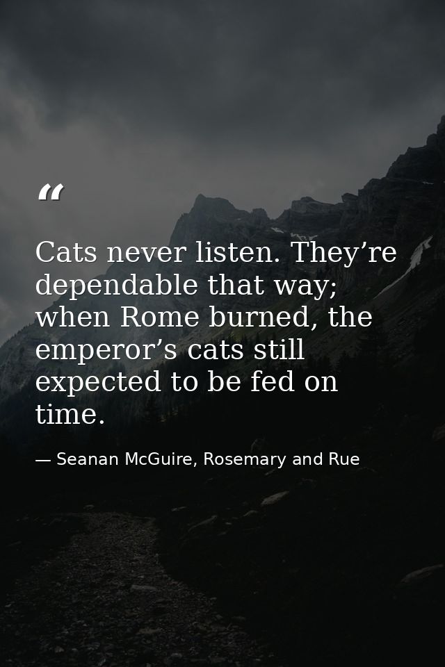 Cats never listen. They’re dependable that way; when Rome burned, the emperor’s cats still expected to be fed on time. — Seanan McGuire, Rosemary and Rue