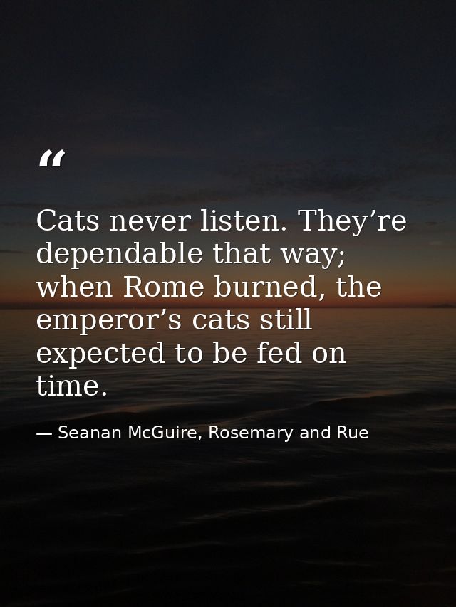 Cats never listen. They’re dependable that way; when Rome burned, the emperor’s cats still expected to be fed on time. — Seanan McGuire, Rosemary and Rue