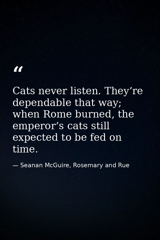 Cats never listen. They’re dependable that way; when Rome burned, the emperor’s cats still expected to be fed on time. — Seanan McGuire, Rosemary and Rue