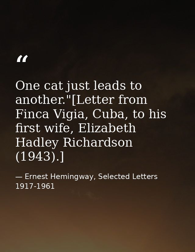 One cat just leads to another."[Letter from Finca Vigia, Cuba, to his first wife, Elizabeth Hadley Richardson (1943).] — Ernest Hemingway, Selected Letters 1917-1961
