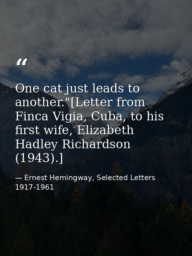 One cat just leads to another."[Letter from Finca Vigia, Cuba, to his first wife, Elizabeth Hadley Richardson (1943).] — Ernest Hemingway, Selected Letters 1917-1961