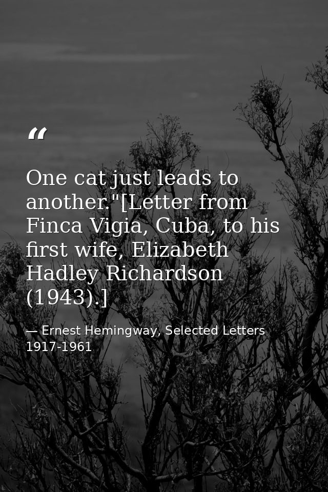 One cat just leads to another."[Letter from Finca Vigia, Cuba, to his first wife, Elizabeth Hadley Richardson (1943).] — Ernest Hemingway, Selected Letters 1917-1961