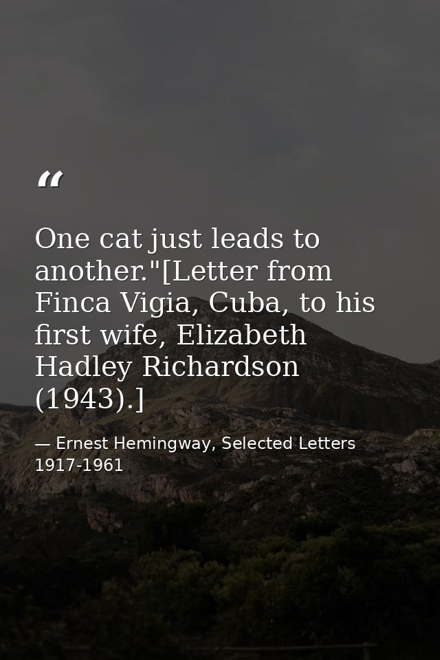 One cat just leads to another."[Letter from Finca Vigia, Cuba, to his first wife, Elizabeth Hadley Richardson (1943).] — Ernest Hemingway, Selected Letters 1917-1961