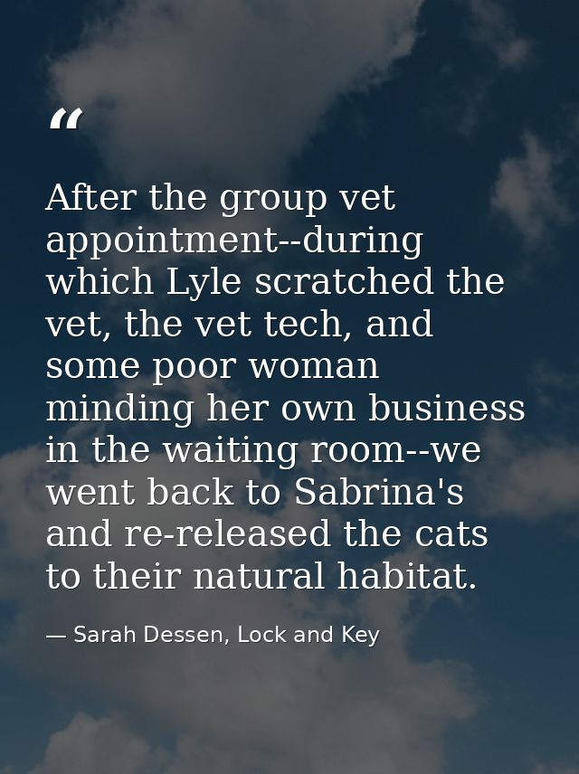 After the group vet appointment--during which Lyle scratched the vet, the vet tech, and some poor woman minding her own  — Sarah Dessen, Lock and Key