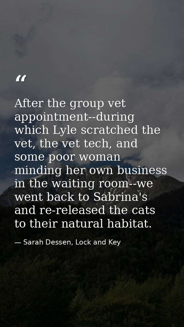 After the group vet appointment--during which Lyle scratched the vet, the vet tech, and some poor woman minding her own  — Sarah Dessen, Lock and Key