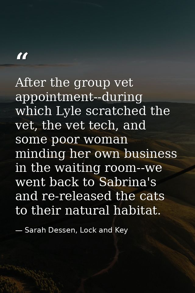 After the group vet appointment--during which Lyle scratched the vet, the vet tech, and some poor woman minding her own  — Sarah Dessen, Lock and Key