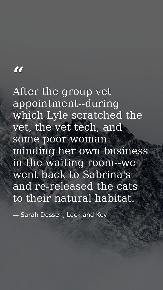After the group vet appointment--during which Lyle scratched the vet, the vet tech, and some poor woman minding her own  — Sarah Dessen, Lock and Key
