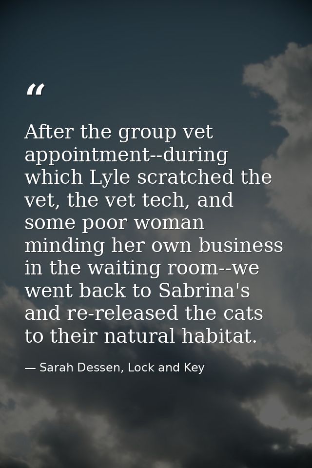 After the group vet appointment--during which Lyle scratched the vet, the vet tech, and some poor woman minding her own  — Sarah Dessen, Lock and Key