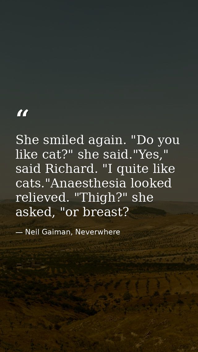 She smiled again. "Do you like cat?" she said."Yes," said Richard. "I quite like cats."Anaesthesia looked relieved. "Thi — Neil Gaiman, Neverwhere