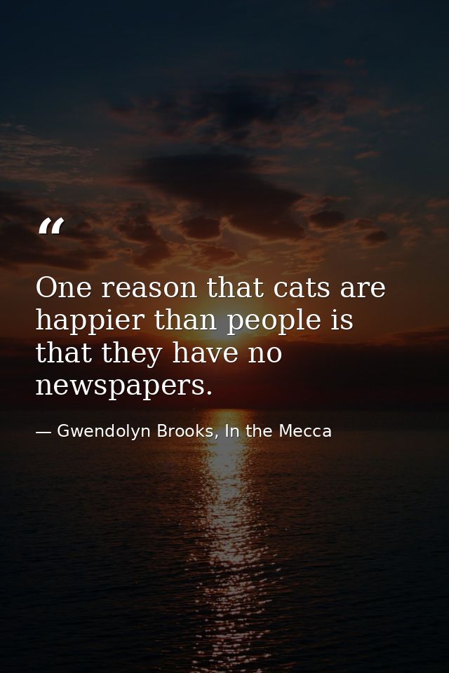 One reason that cats are happier than people is that they have no newspapers. — Gwendolyn Brooks, In the Mecca