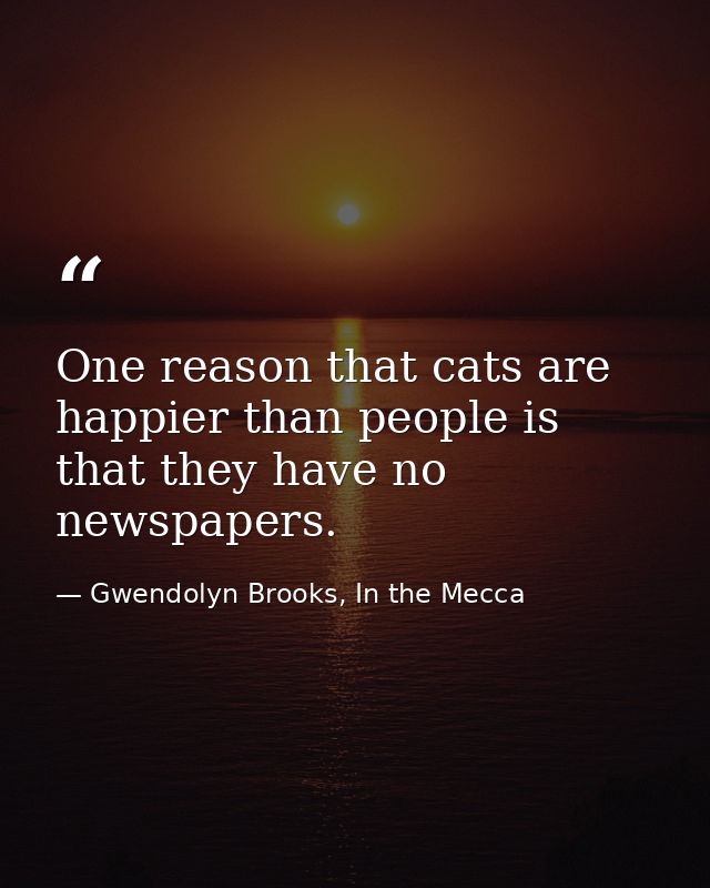 One reason that cats are happier than people is that they have no newspapers. — Gwendolyn Brooks, In the Mecca