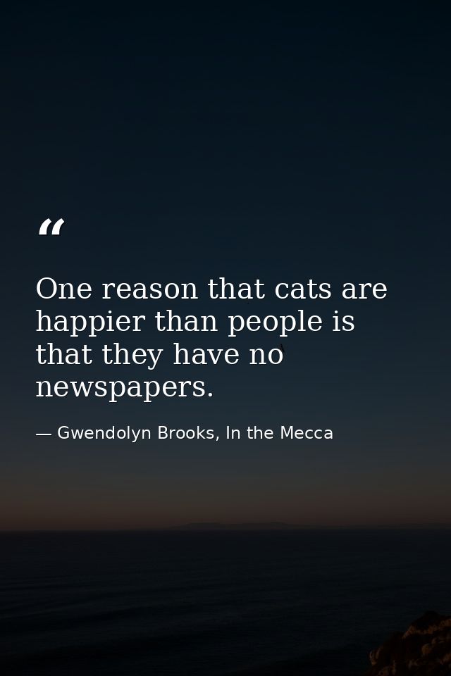 One reason that cats are happier than people is that they have no newspapers. — Gwendolyn Brooks, In the Mecca