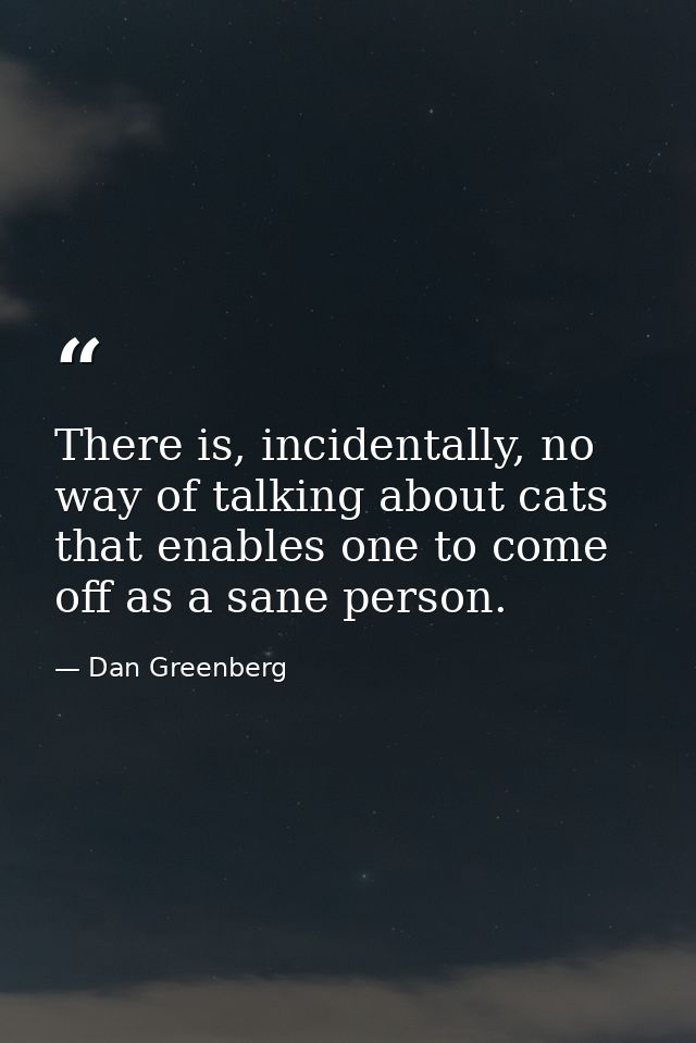 There is, incidentally, no way of talking about cats that enables one to come off as a sane person. — Dan Greenberg