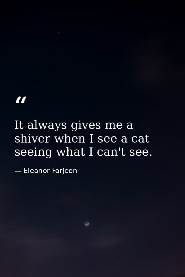 It always gives me a shiver when I see a cat seeing what I can't see. — Eleanor Farjeon