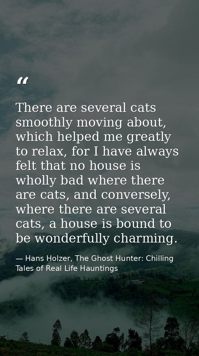 There are several cats smoothly moving about, which helped me greatly to relax, for I have always felt that no house is  — Hans Holzer, The Ghost Hunter: Chilling Tales of Real Life Hauntings