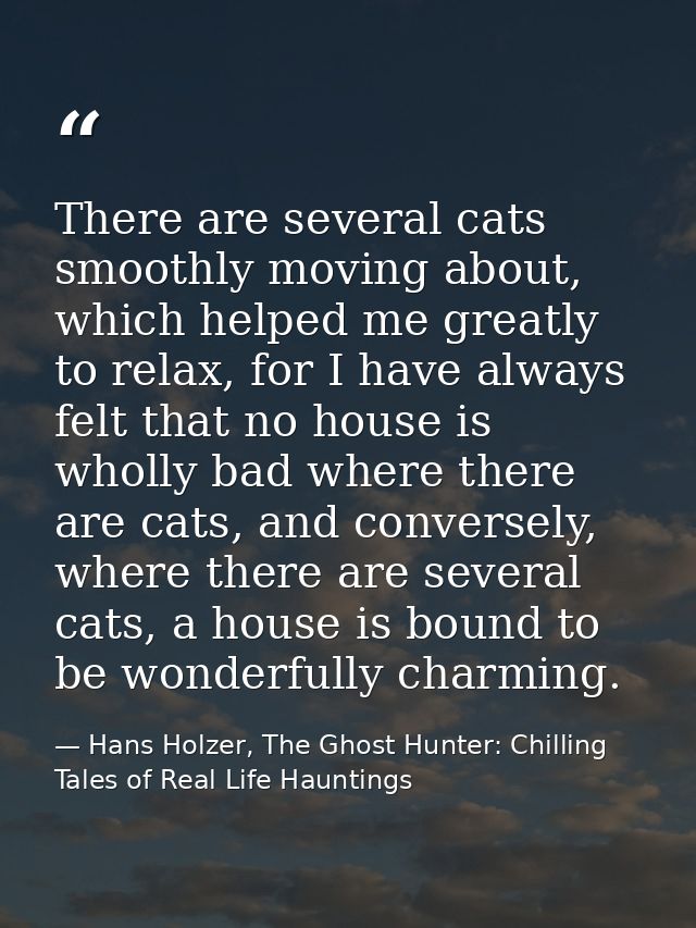 There are several cats smoothly moving about, which helped me greatly to relax, for I have always felt that no house is  — Hans Holzer, The Ghost Hunter: Chilling Tales of Real Life Hauntings