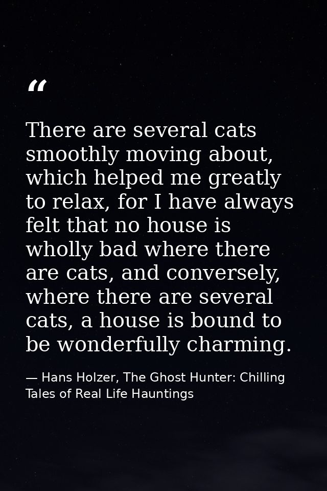 There are several cats smoothly moving about, which helped me greatly to relax, for I have always felt that no house is  — Hans Holzer, The Ghost Hunter: Chilling Tales of Real Life Hauntings
