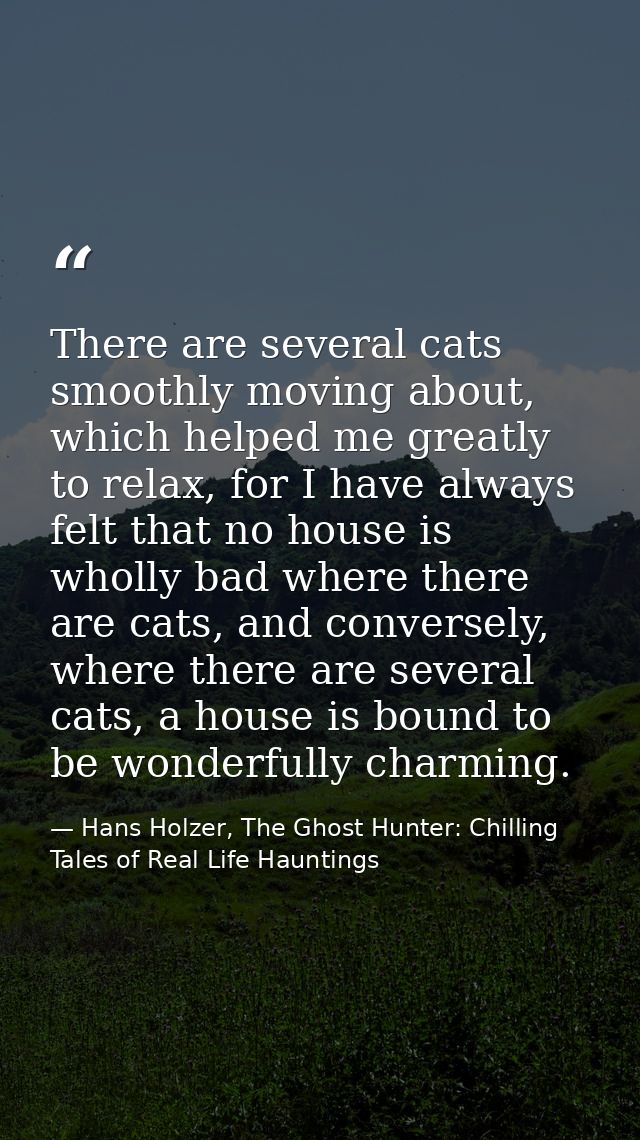 There are several cats smoothly moving about, which helped me greatly to relax, for I have always felt that no house is  — Hans Holzer, The Ghost Hunter: Chilling Tales of Real Life Hauntings