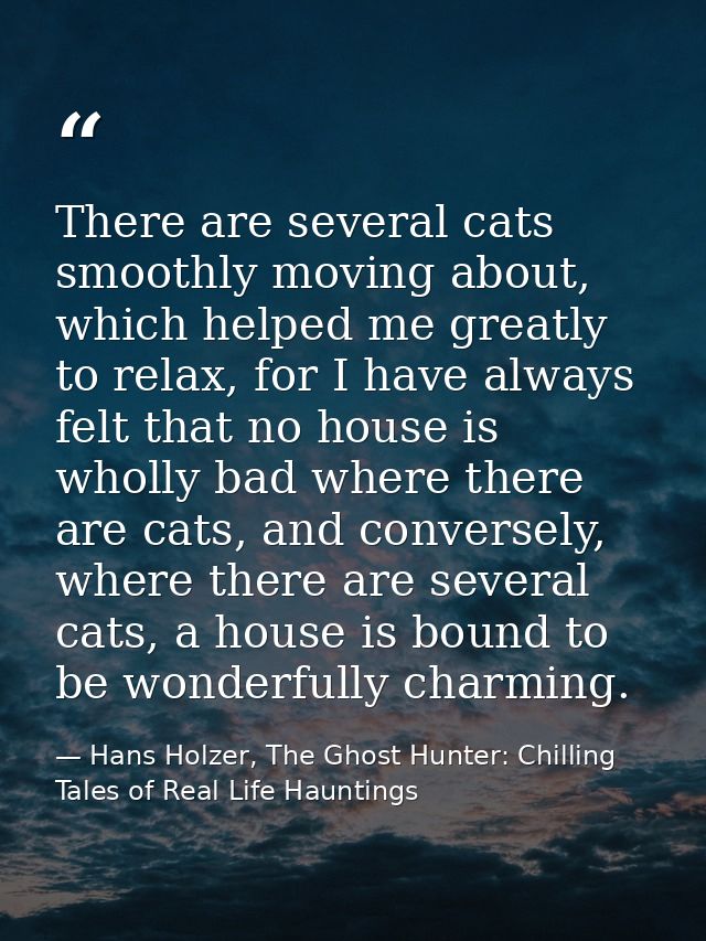 There are several cats smoothly moving about, which helped me greatly to relax, for I have always felt that no house is  — Hans Holzer, The Ghost Hunter: Chilling Tales of Real Life Hauntings