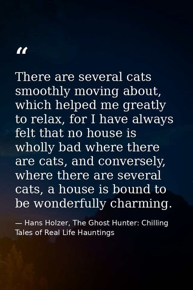 There are several cats smoothly moving about, which helped me greatly to relax, for I have always felt that no house is  — Hans Holzer, The Ghost Hunter: Chilling Tales of Real Life Hauntings