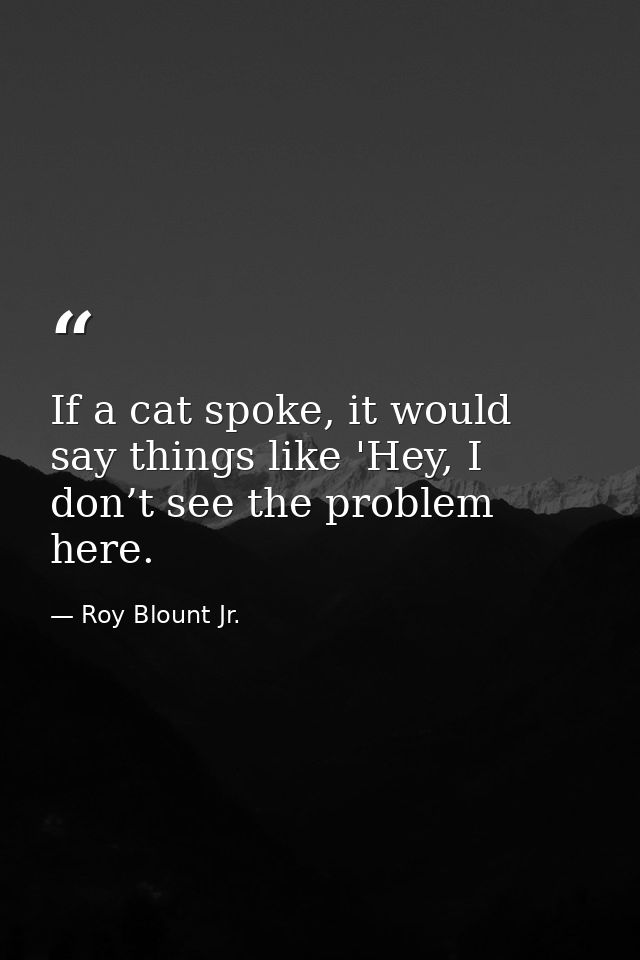 If a cat spoke, it would say things like 'Hey, I don’t see the problem here. — Roy Blount Jr.