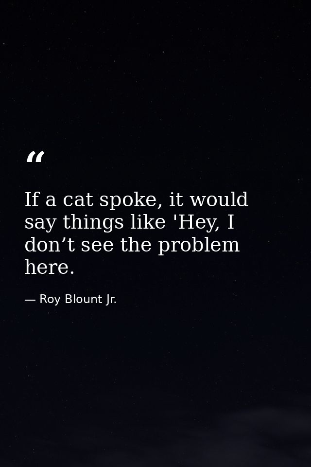 If a cat spoke, it would say things like 'Hey, I don’t see the problem here. — Roy Blount Jr.