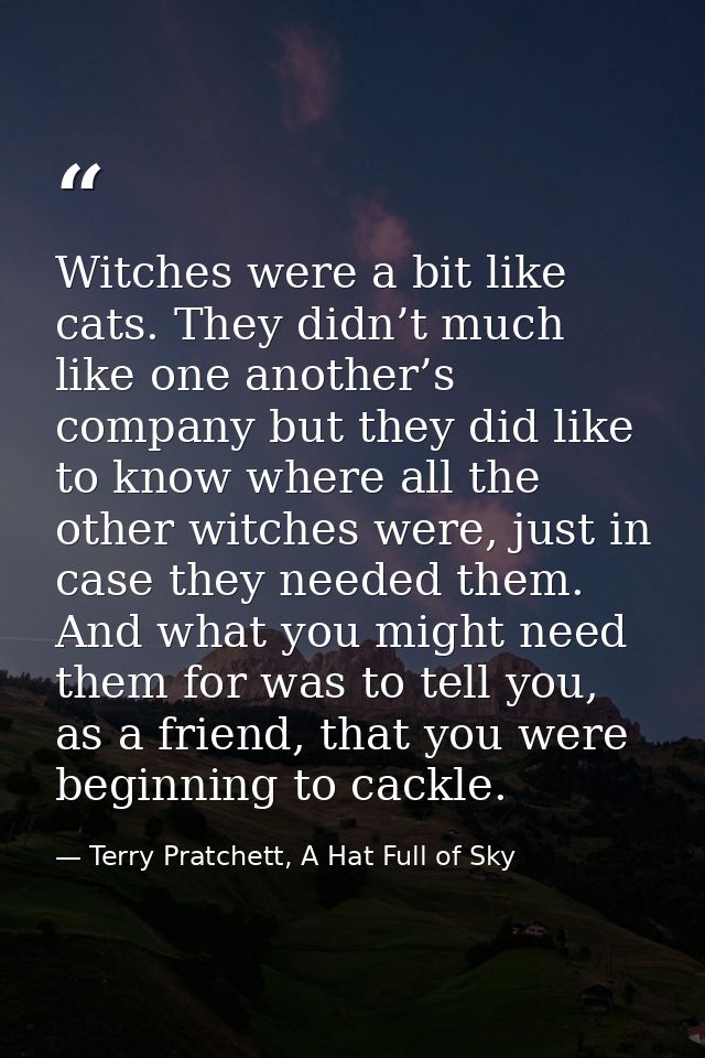 Witches were a bit like cats. They didn’t much like one another’s company but they did like to know where all the other  — Terry Pratchett, A Hat Full of Sky