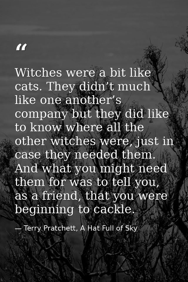 Witches were a bit like cats. They didn’t much like one another’s company but they did like to know where all the other  — Terry Pratchett, A Hat Full of Sky