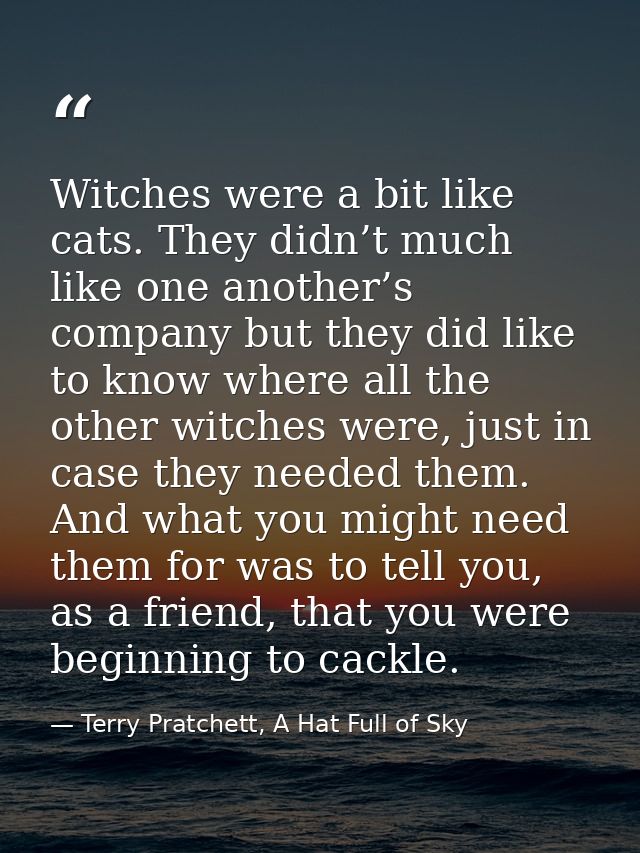Witches were a bit like cats. They didn’t much like one another’s company but they did like to know where all the other  — Terry Pratchett, A Hat Full of Sky