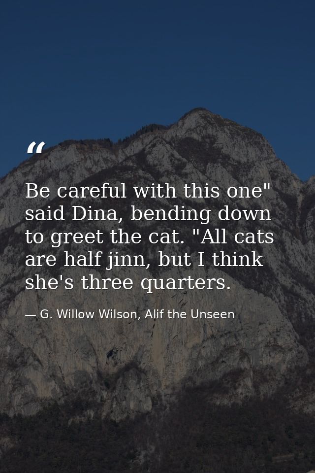Be careful with this one" said Dina, bending down to greet the cat. "All cats are half jinn, but I think she's three qua — G. Willow Wilson, Alif the Unseen