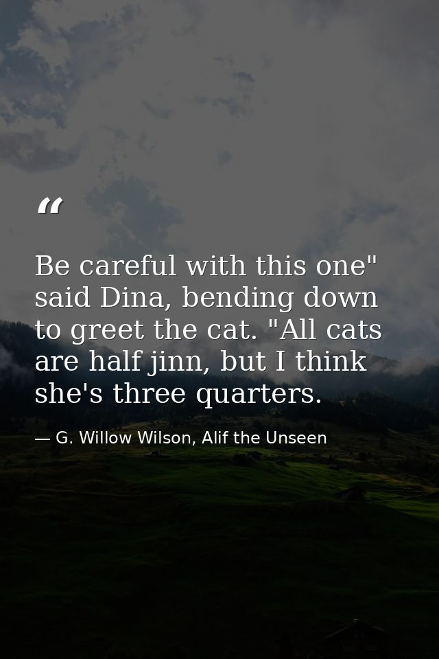 Be careful with this one" said Dina, bending down to greet the cat. "All cats are half jinn, but I think she's three qua — G. Willow Wilson, Alif the Unseen