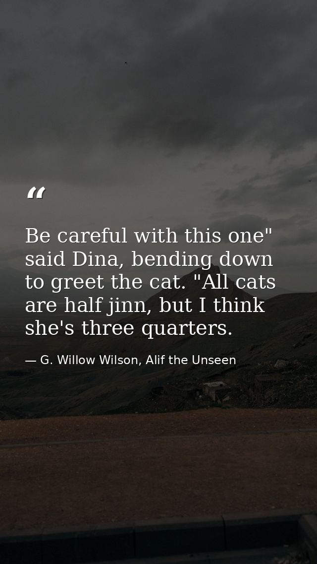 Be careful with this one" said Dina, bending down to greet the cat. "All cats are half jinn, but I think she's three qua — G. Willow Wilson, Alif the Unseen