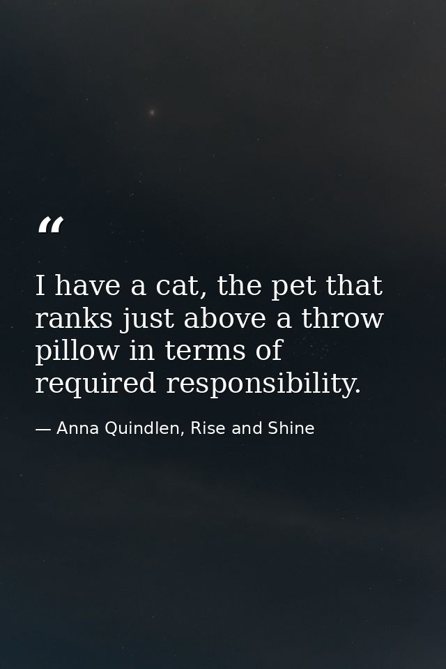 I have a cat, the pet that ranks just above a throw pillow in terms of required responsibility. — Anna Quindlen, Rise and Shine