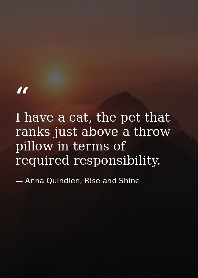 I have a cat, the pet that ranks just above a throw pillow in terms of required responsibility. — Anna Quindlen, Rise and Shine