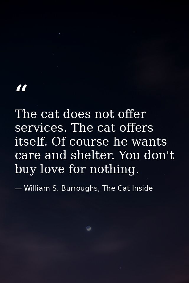 The cat does not offer services. The cat offers itself. Of course he wants care and shelter. You don't buy love for noth — William S. Burroughs, The Cat Inside