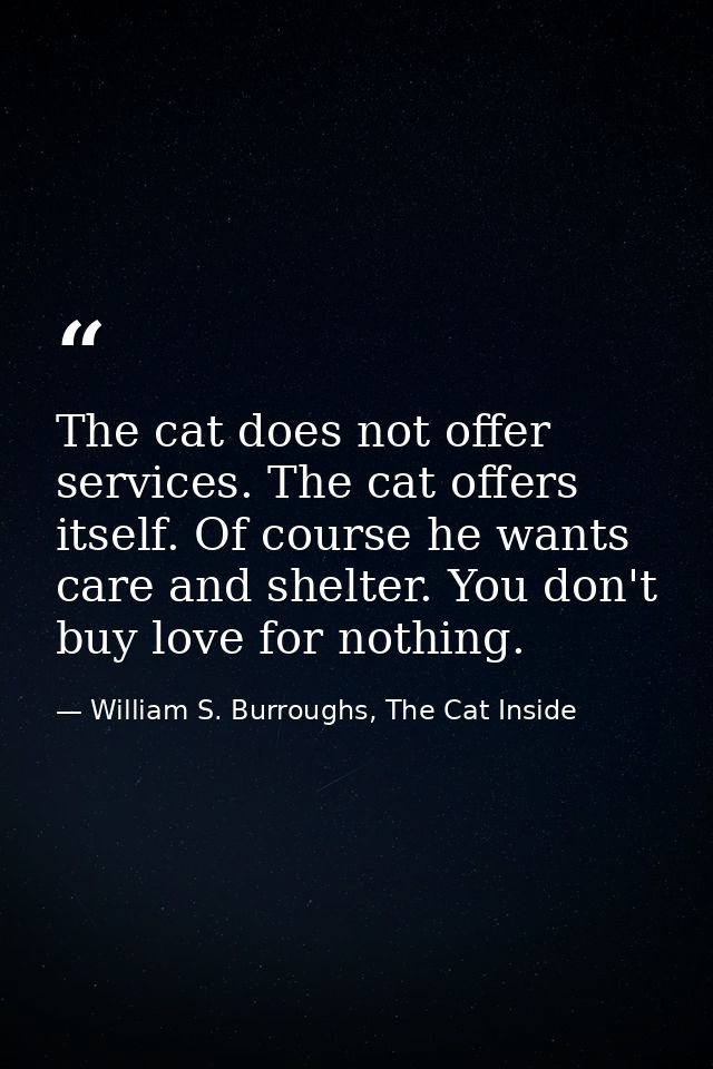 The cat does not offer services. The cat offers itself. Of course he wants care and shelter. You don't buy love for noth — William S. Burroughs, The Cat Inside