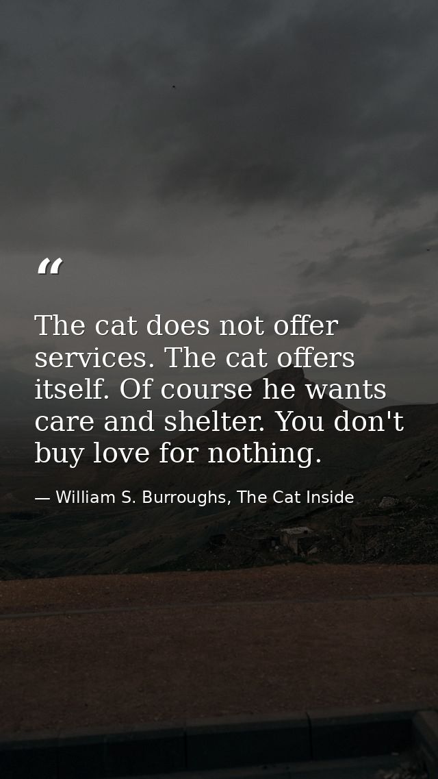 The cat does not offer services. The cat offers itself. Of course he wants care and shelter. You don't buy love for noth — William S. Burroughs, The Cat Inside
