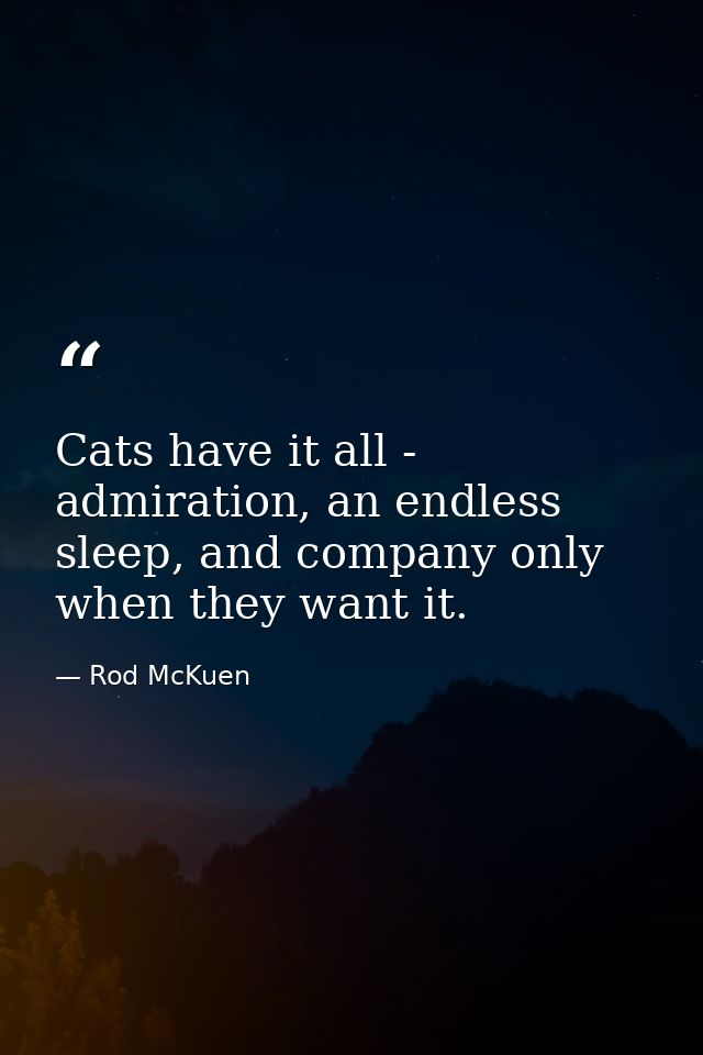Cats have it all - admiration, an endless sleep, and company only when they want it. — Rod McKuen