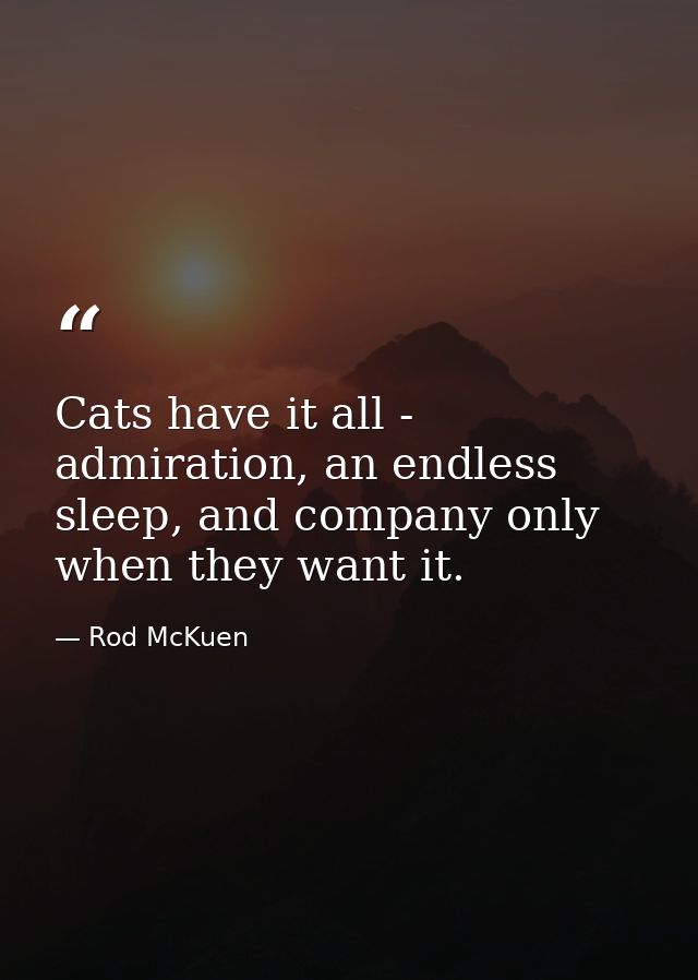Cats have it all - admiration, an endless sleep, and company only when they want it. — Rod McKuen