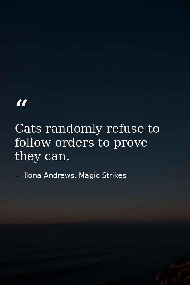 Cats randomly refuse to follow orders to prove they can. — Ilona Andrews, Magic Strikes