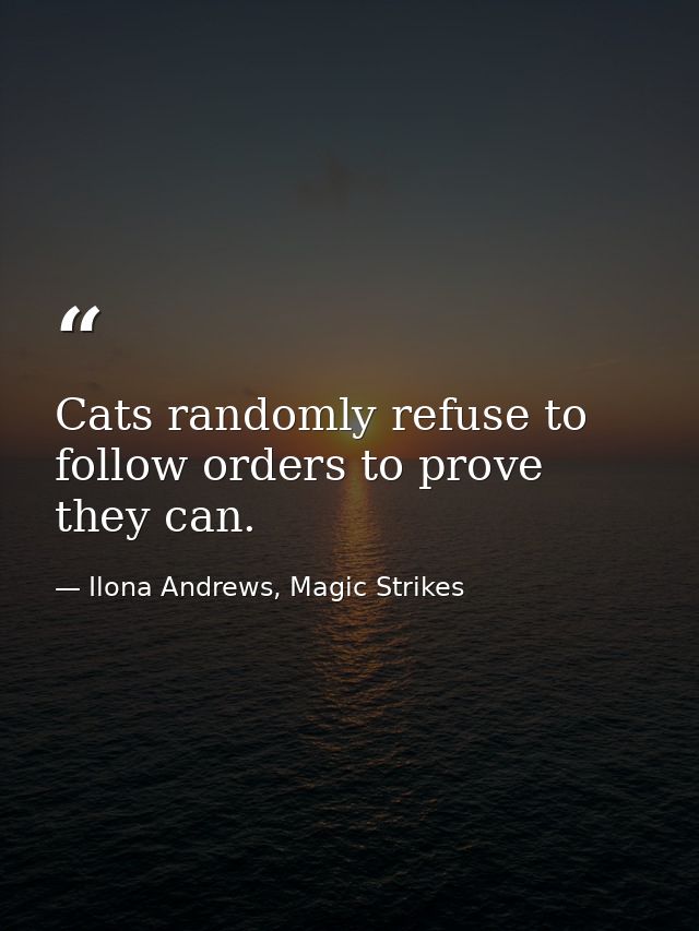Cats randomly refuse to follow orders to prove they can. — Ilona Andrews, Magic Strikes