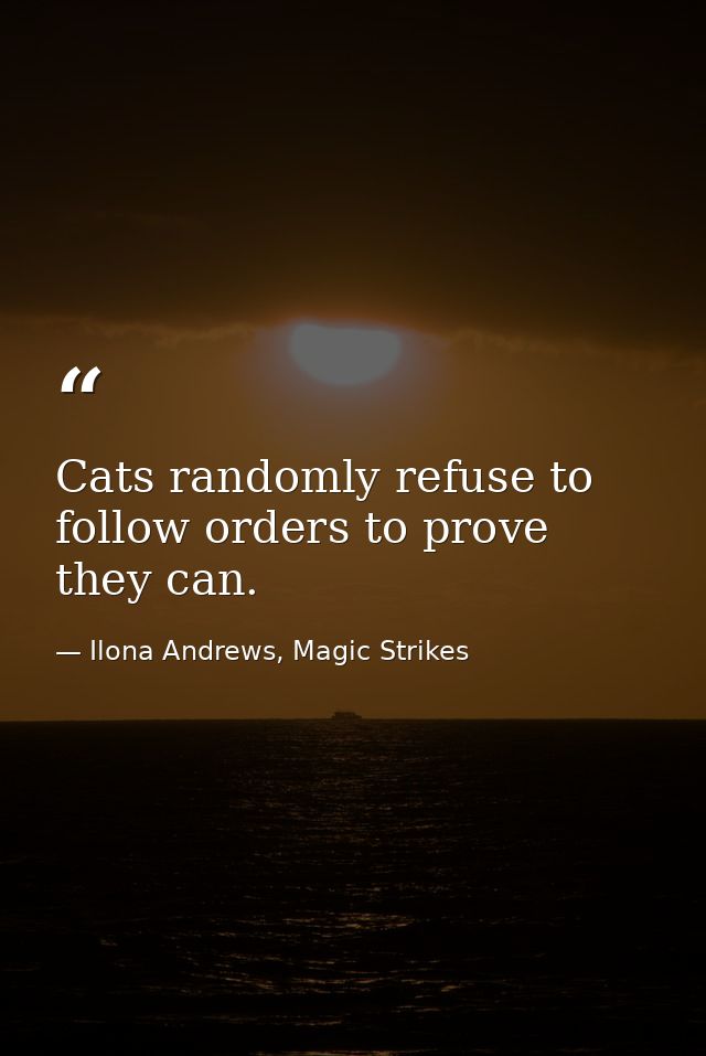 Cats randomly refuse to follow orders to prove they can. — Ilona Andrews, Magic Strikes