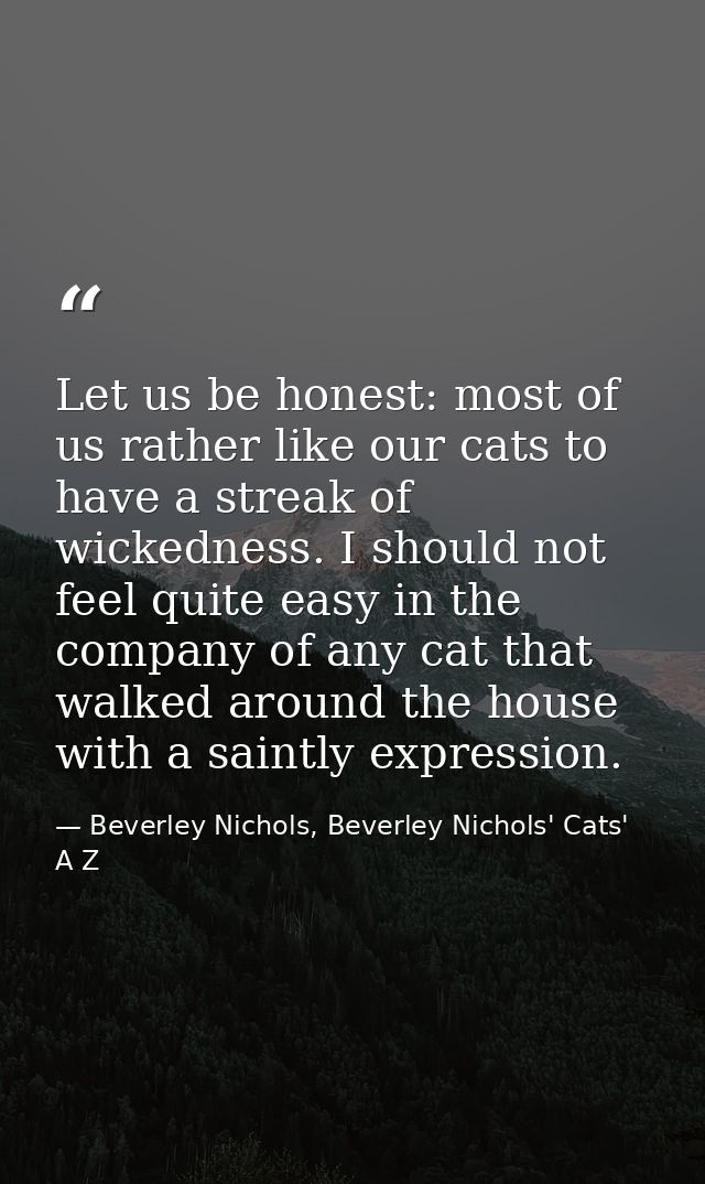 Let us be honest: most of us rather like our cats to have a streak of wickedness. I should not feel quite easy in the co — Beverley Nichols, Beverley Nichols' Cats' A Z