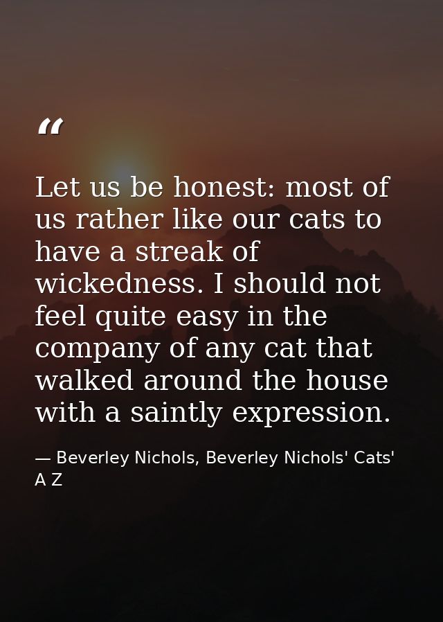 Let us be honest: most of us rather like our cats to have a streak of wickedness. I should not feel quite easy in the co — Beverley Nichols, Beverley Nichols' Cats' A Z