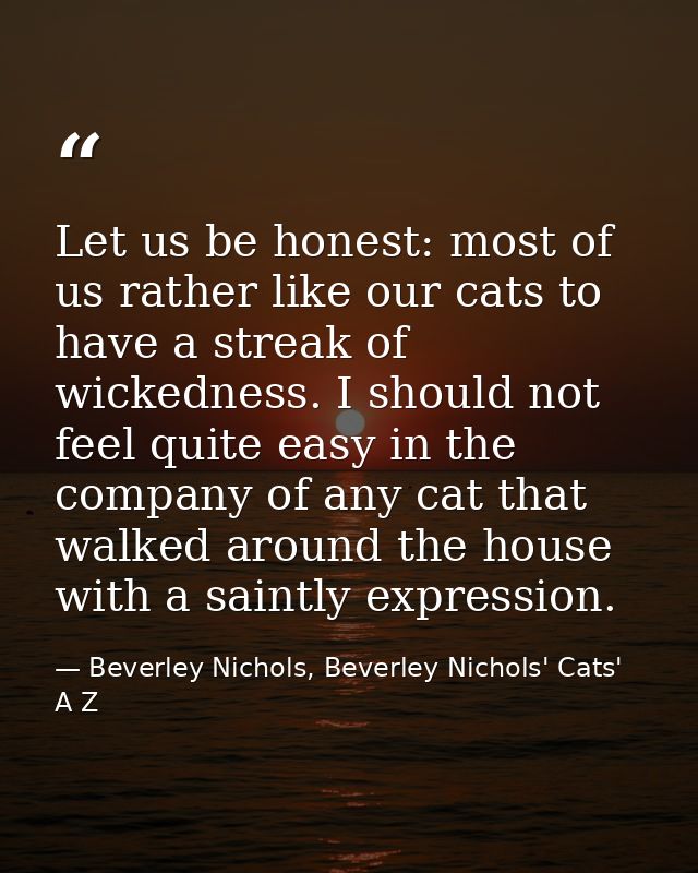 Let us be honest: most of us rather like our cats to have a streak of wickedness. I should not feel quite easy in the co — Beverley Nichols, Beverley Nichols' Cats' A Z