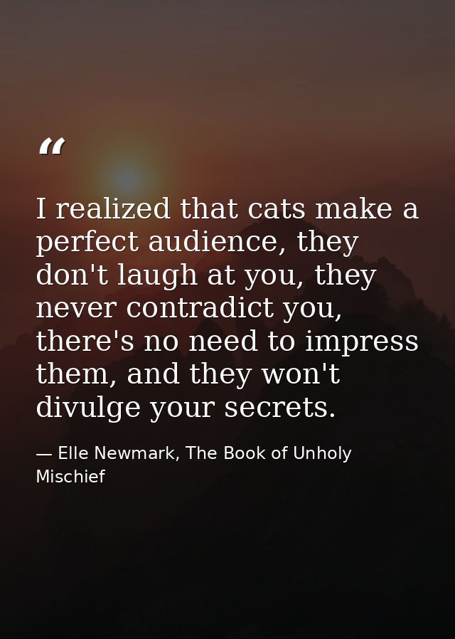I realized that cats make a perfect audience, they don't laugh at you, they never contradict you, there's no need to imp — Elle Newmark, The Book of Unholy Mischief