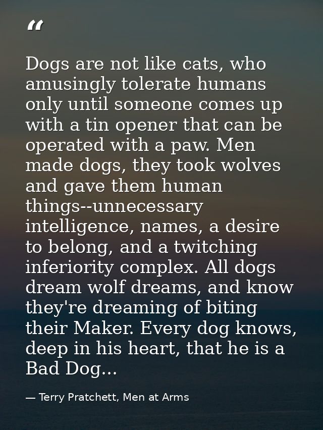 Dogs are not like cats, who amusingly tolerate humans only until someone comes up with a tin opener that can be operated — Terry Pratchett, Men at Arms