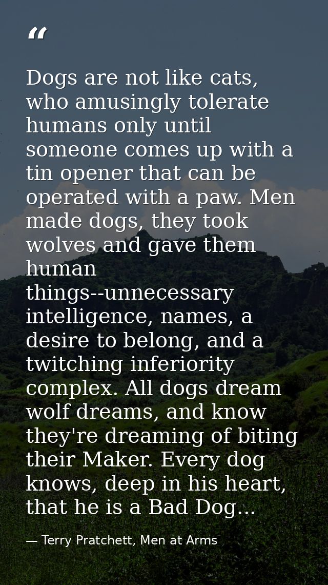 Dogs are not like cats, who amusingly tolerate humans only until someone comes up with a tin opener that can be operated — Terry Pratchett, Men at Arms
