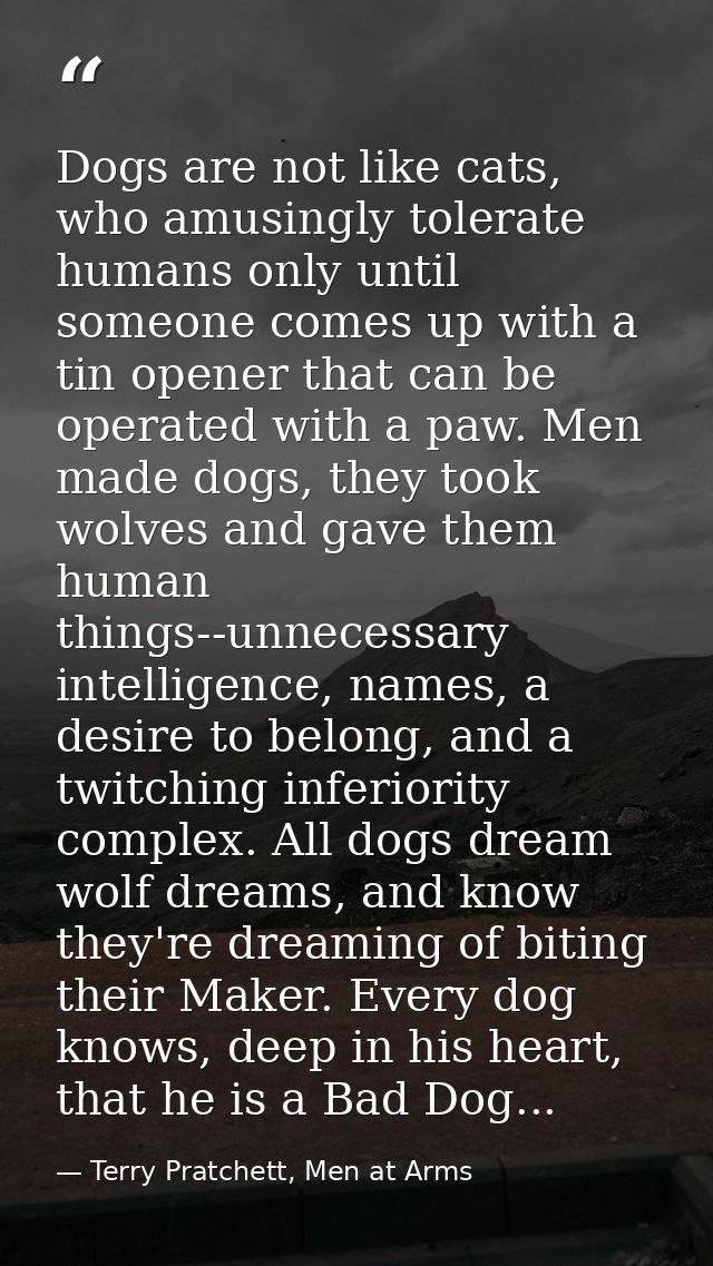 Dogs are not like cats, who amusingly tolerate humans only until someone comes up with a tin opener that can be operated — Terry Pratchett, Men at Arms