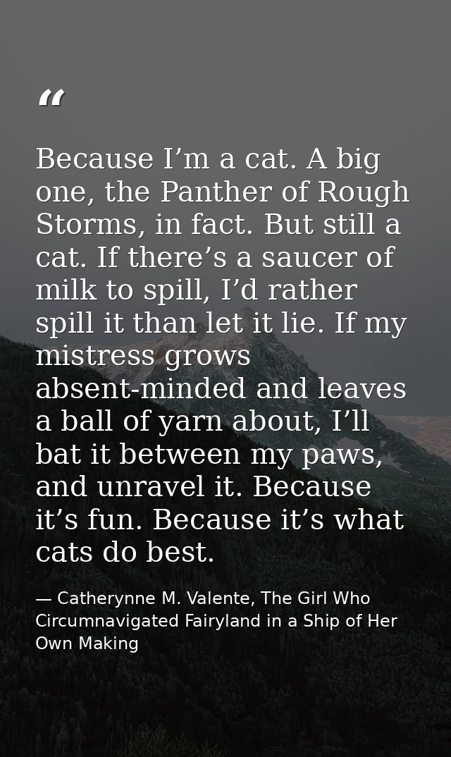 Because I’m a cat. A big one, the Panther of Rough Storms, in fact. But still a cat. If there’s a saucer of milk to spil — Catherynne M. Valente, The Girl Who Circumnavigated Fairyland in a Ship of Her Own Making